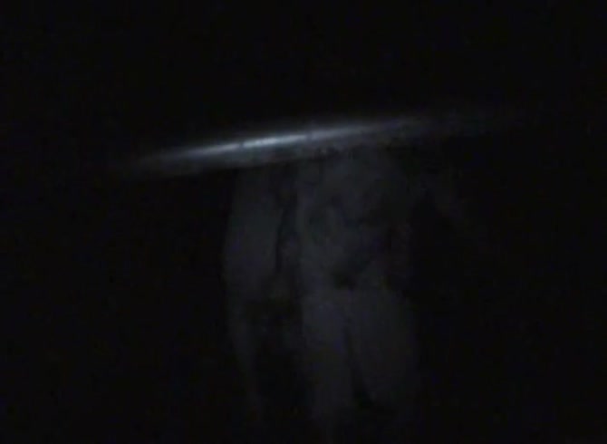 Video :Amateur horse sex with dude and horse